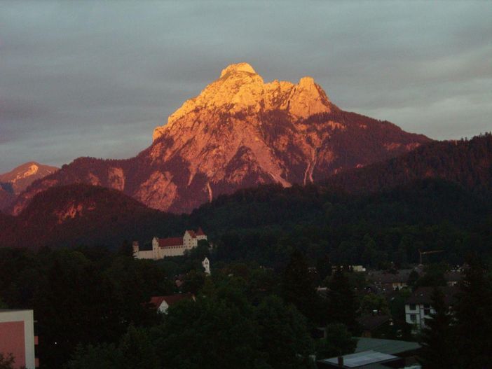 saeuling-in-der-abensonne