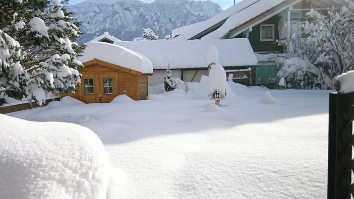 Winter Garten