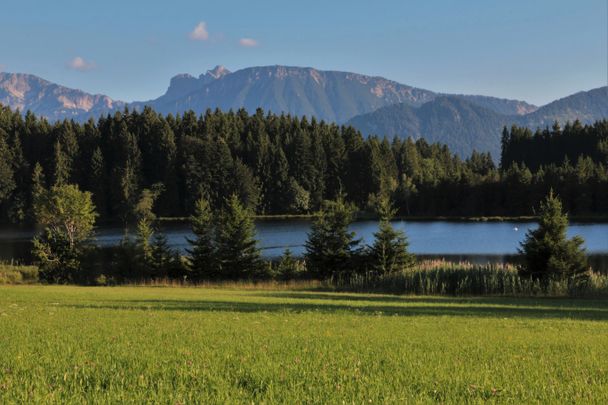 Der Kögelweiher - mit Blick auf den Breitenberg