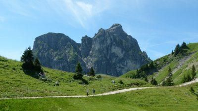 Blick auf den Aggenstein