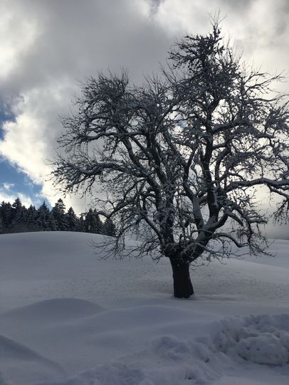 Verschneite Winterlandschaft in Bolsterlang