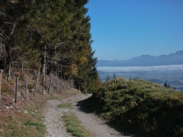 Ausblick zwischen Kappeler Alm und Sportheim Böck