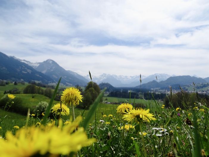 Blick vom Malerwinkel