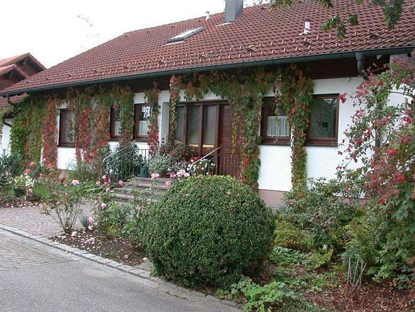 Ferienwohnung Waldvogel Außenansicht