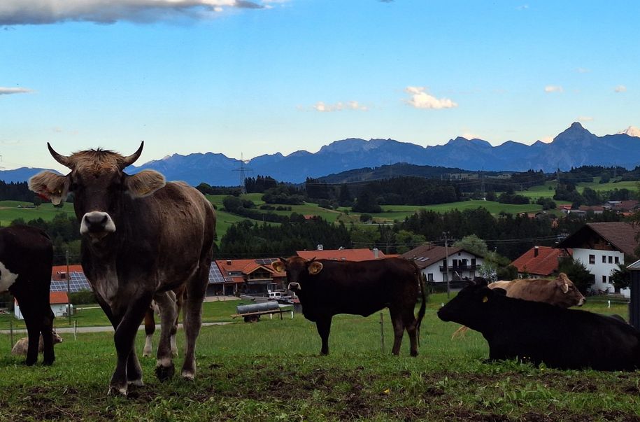 gleich nebenan