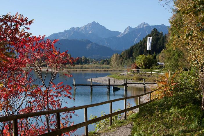 Uferwege am Forggensee