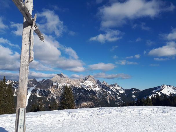 Kreuz am Farrenegg