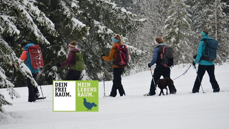 Von Gschwend auf das Gschwender Horn