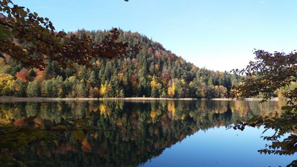 Alatsee zur Herbstzeit