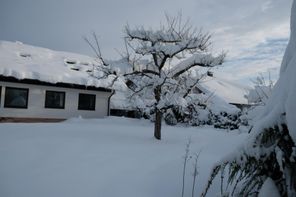 Garten im Winter