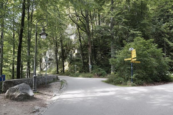 Fürstenstraße Richtung Pindarplatz