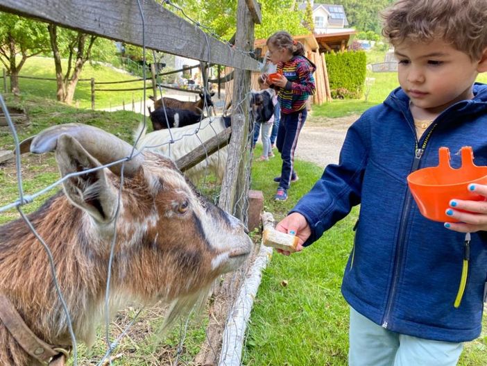 Hansi wird gefüttert