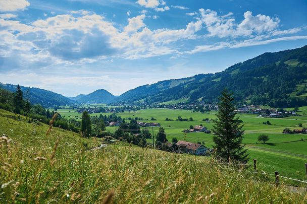 Blick übers Konstanzer Tal