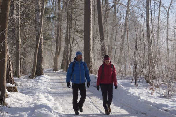 Wanderweg am Schwansee