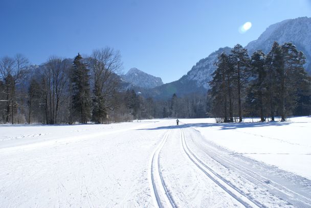 Schwansee-Runde