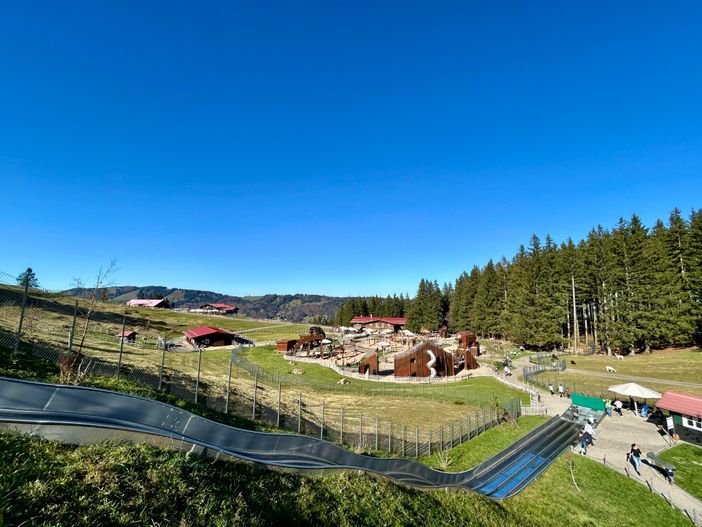 Alpsee Coaster Spielplatz