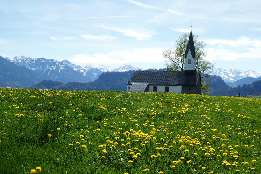 Frühling