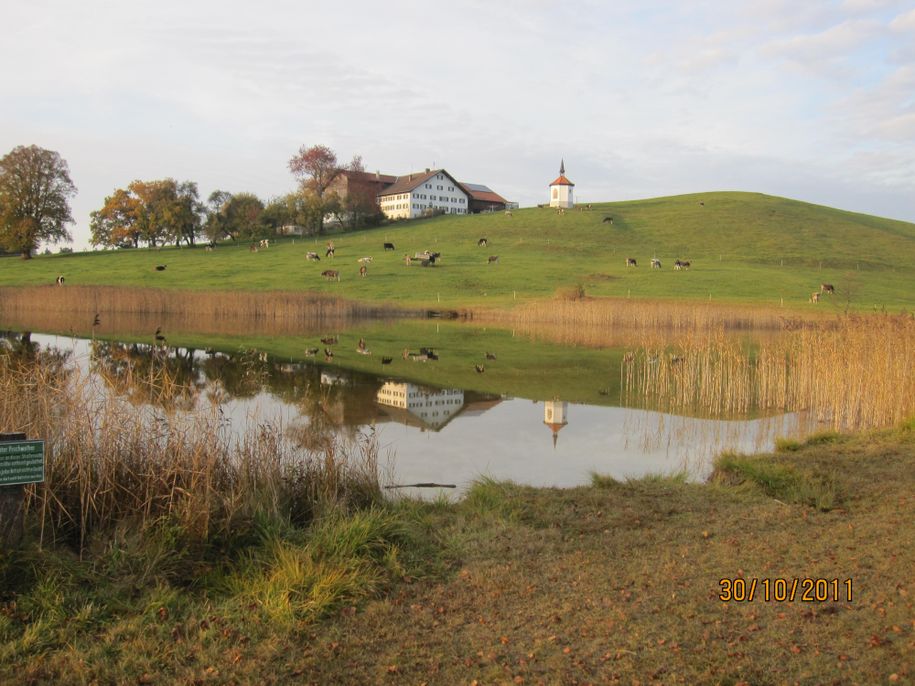 Allgäu pur