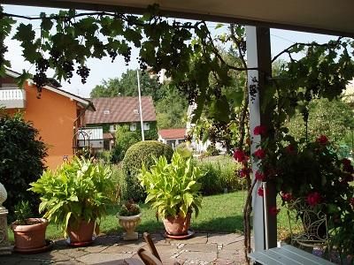 Ausblick Terrasse