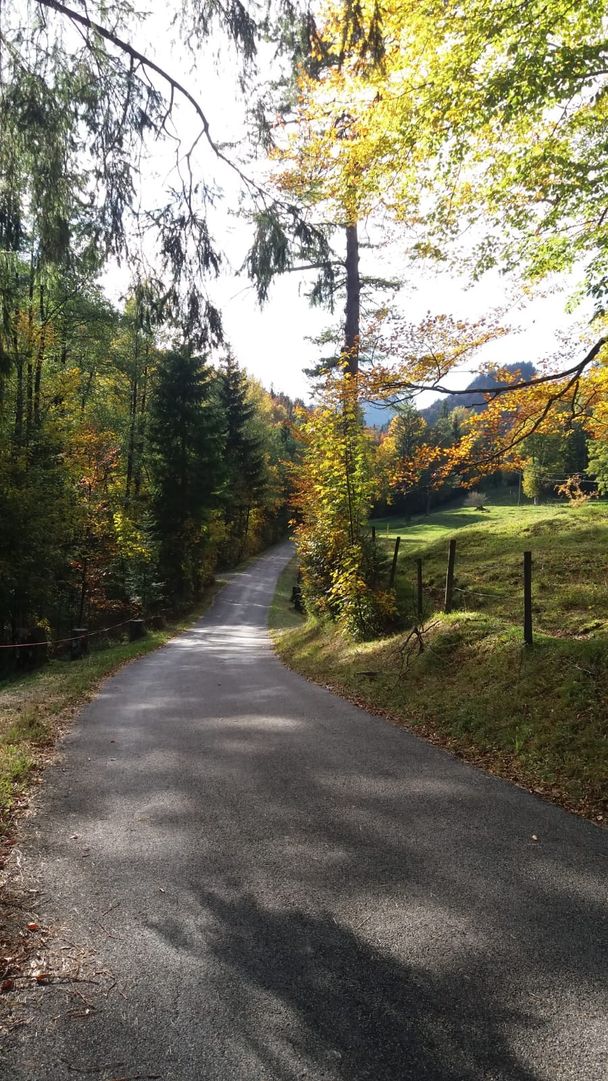 Alatsee-Fahrstraße Richtung Alatsee