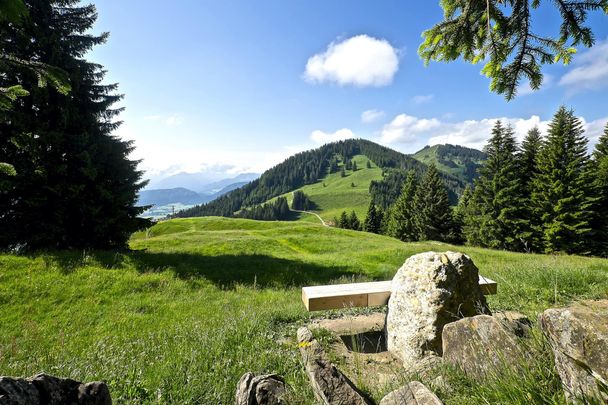 Aussicht vom Ofterschwanger Horn