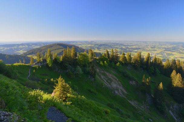 Ausblick vom Steineberg
