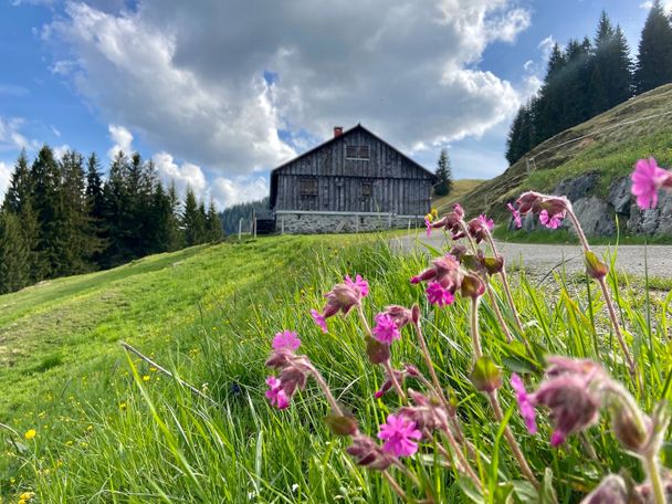 Rundweg ums Ofterschwanger Horn