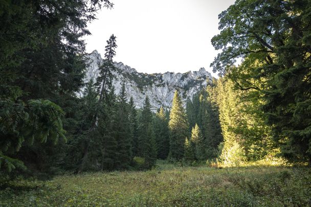 Ausblick vom Wanderweg Richtung Säuling