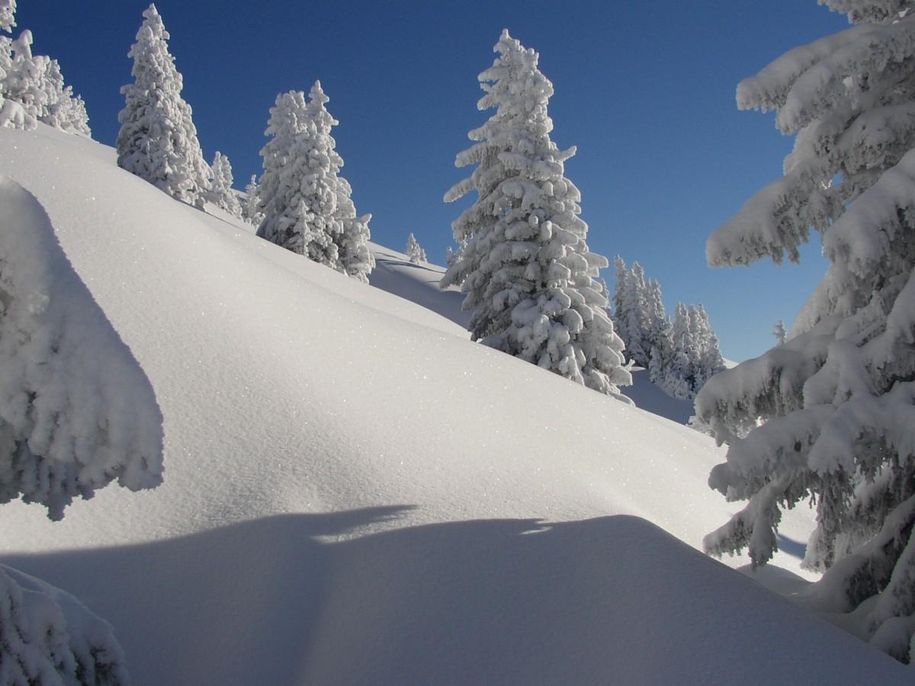 Hochgratflanke im Winter