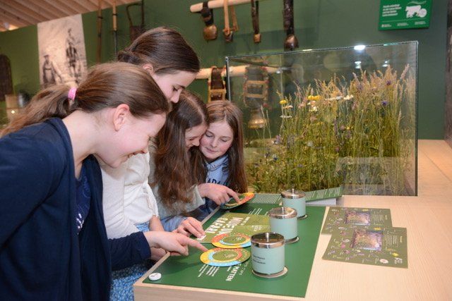 Museums-Safari_AlpenStadtMuseum Sonthofen_1