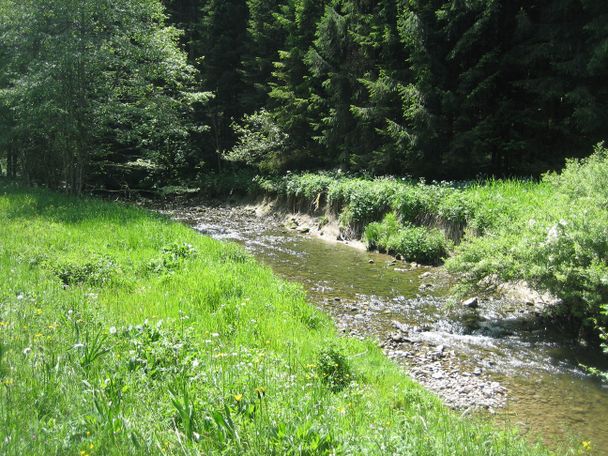 Der idyllische Schwarzenbach