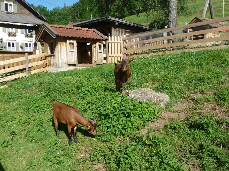 Max und Moritz