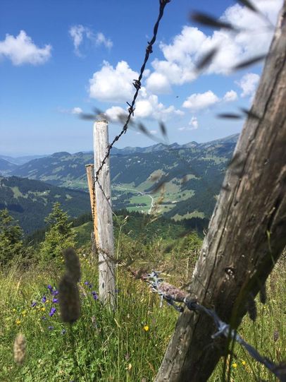 Blick vom Riedbergerhorn nach Balderschwang