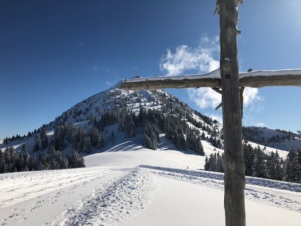 Edenalpe-Nesselwängle