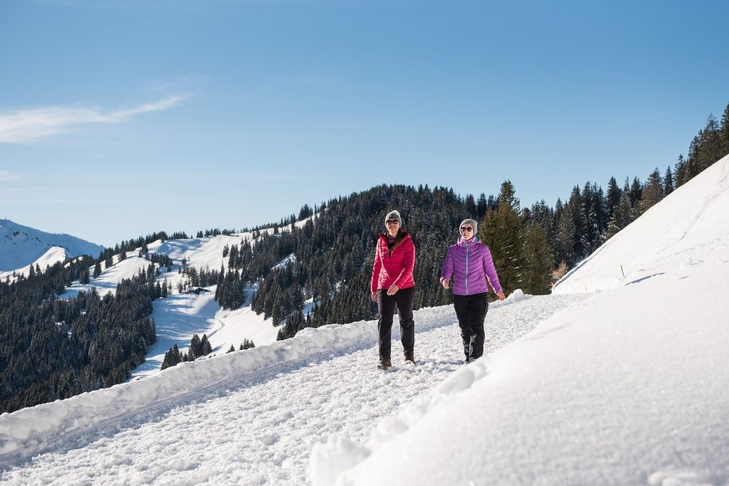 Winterwandern Panorama-Höhenweg - Hörnerbahn | Bolsterlang - Allgäu