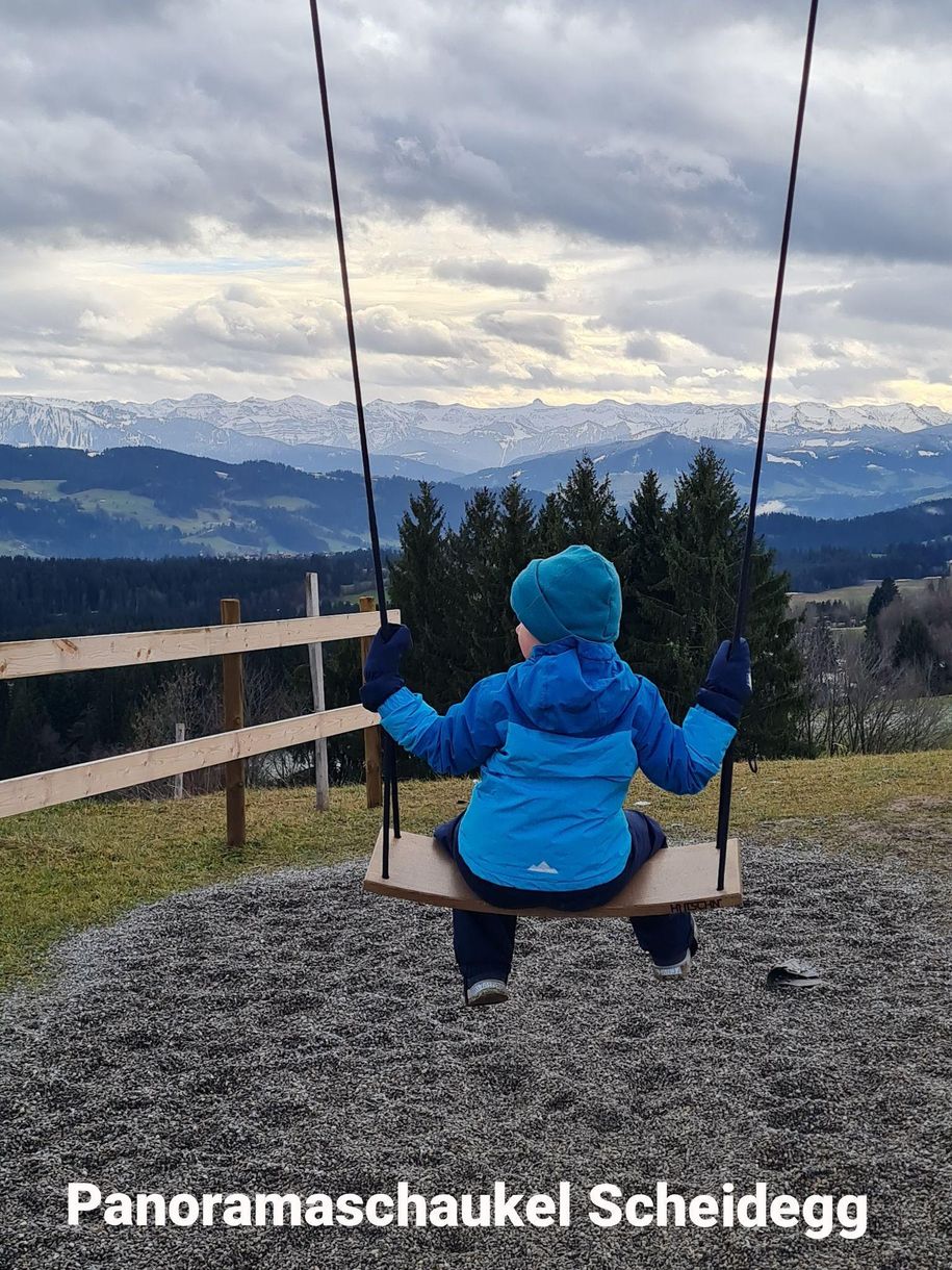 Panoramaschaukel Scheidegg