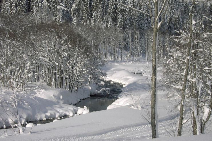 Winterwandern am Bolgenachweg