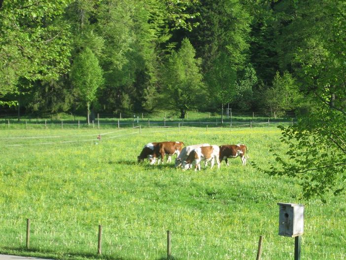 Blick vom Studiobalkon