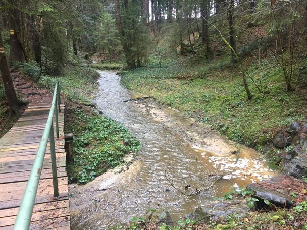 Brücke Osterwald