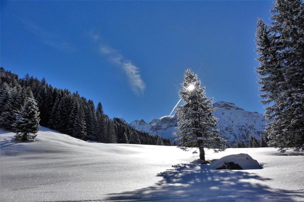 Staatlich geprüfter Berg- und Skiführer