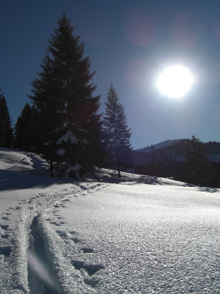 Skitour in Balderschwang