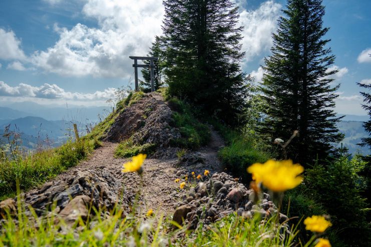 Porta Alpinae am Hochgrat