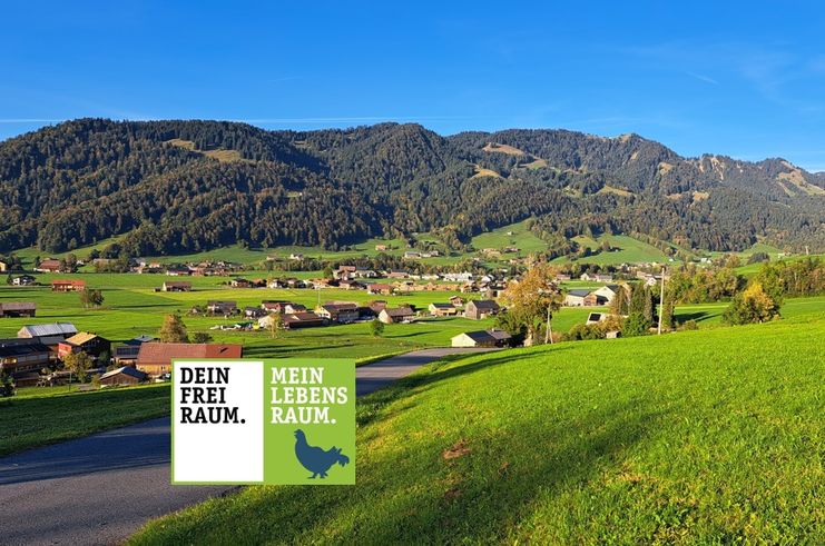 Ausblick auf Hittisau und die Nagelfluhkette im Hintergrund.