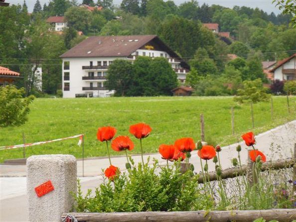 Landhotel Eingangsbereich