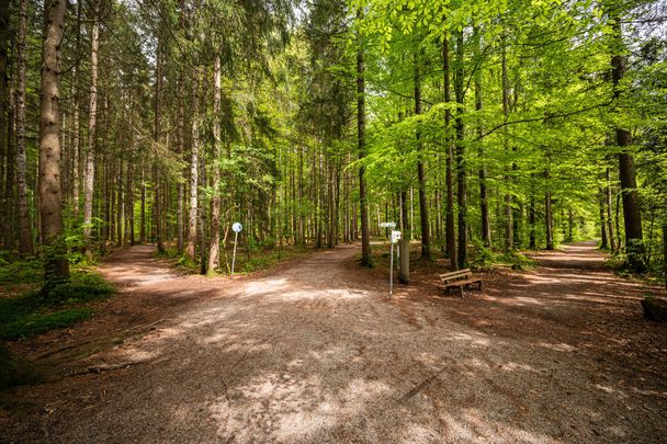 Waldbaden in Fischen im Allgäu