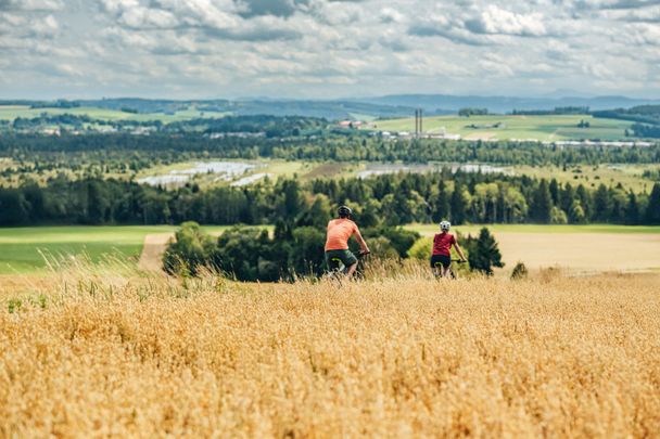 Bei einer Fahrradtour einen Blick auf das größte noch intakte Hochmoor werfen