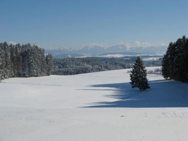 Voralpenlandschaft