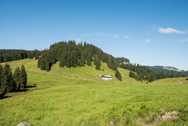 Alpe Dinjoergen bei Obermaiselstein