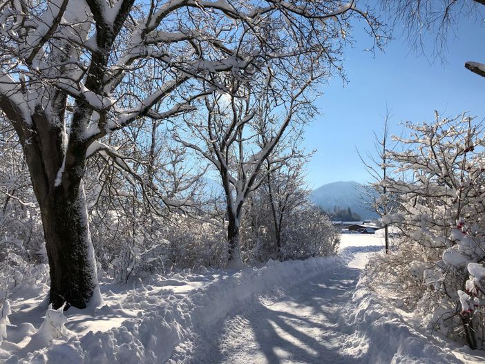 Märchenhafter Spaziergang im Winter