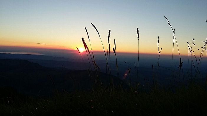 Sonnenuntergang am Hochgrat